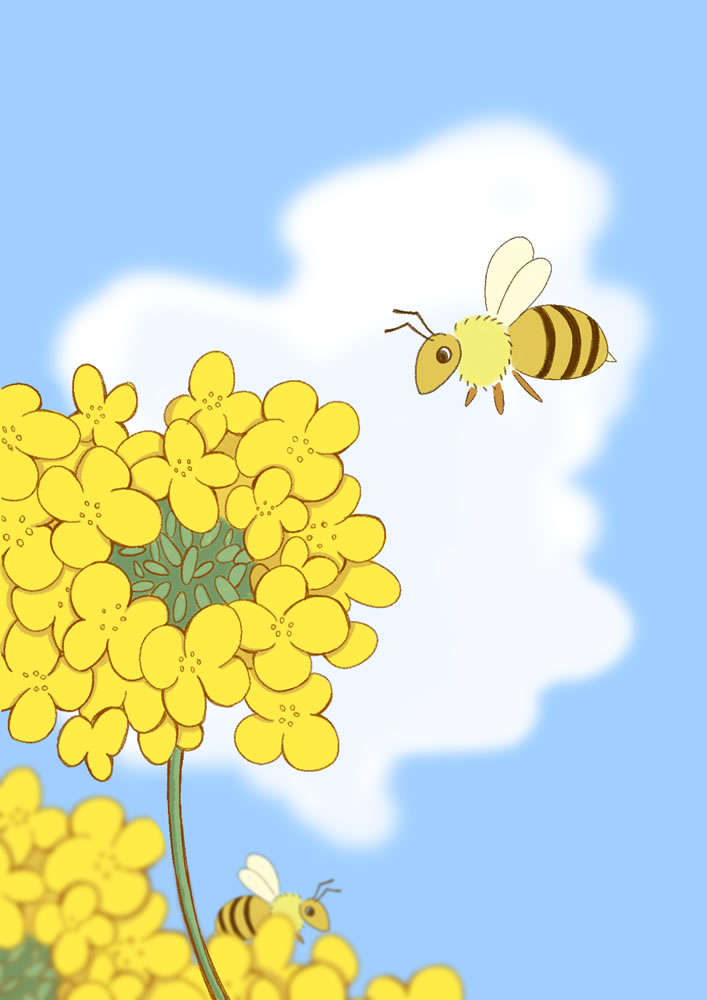 はち