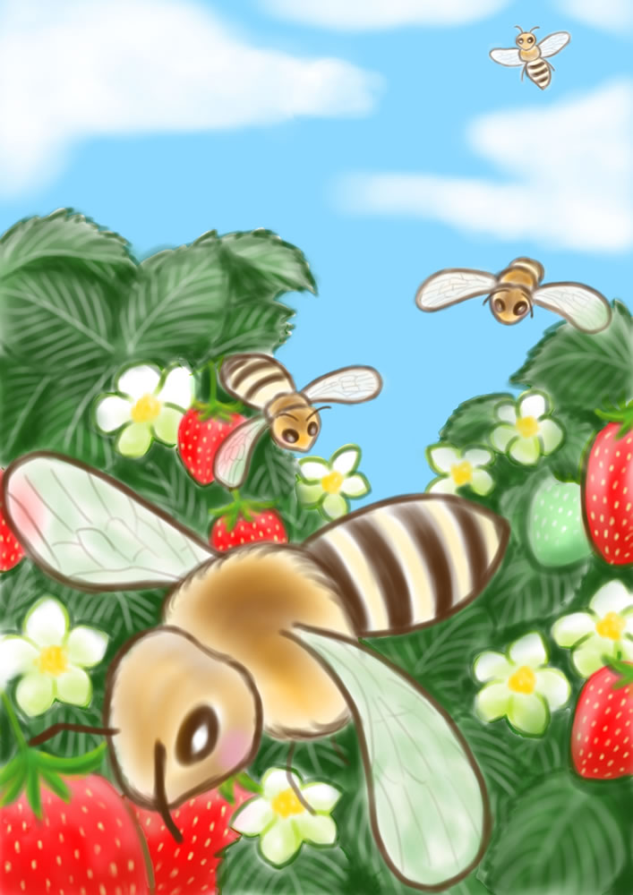 いちご畑とミツバチ