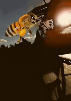 空とミツバチ