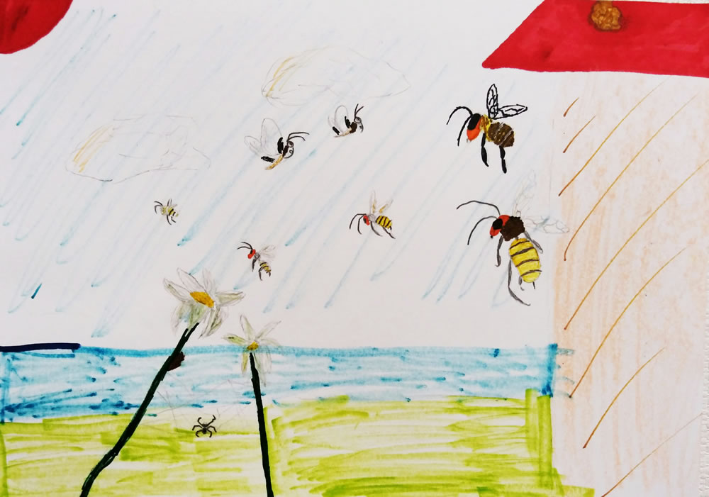 岸辺の蜂たち