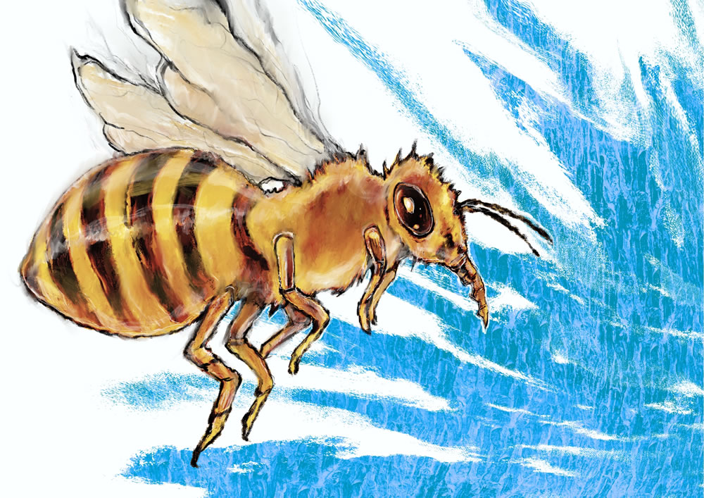 水彩ミツバチ