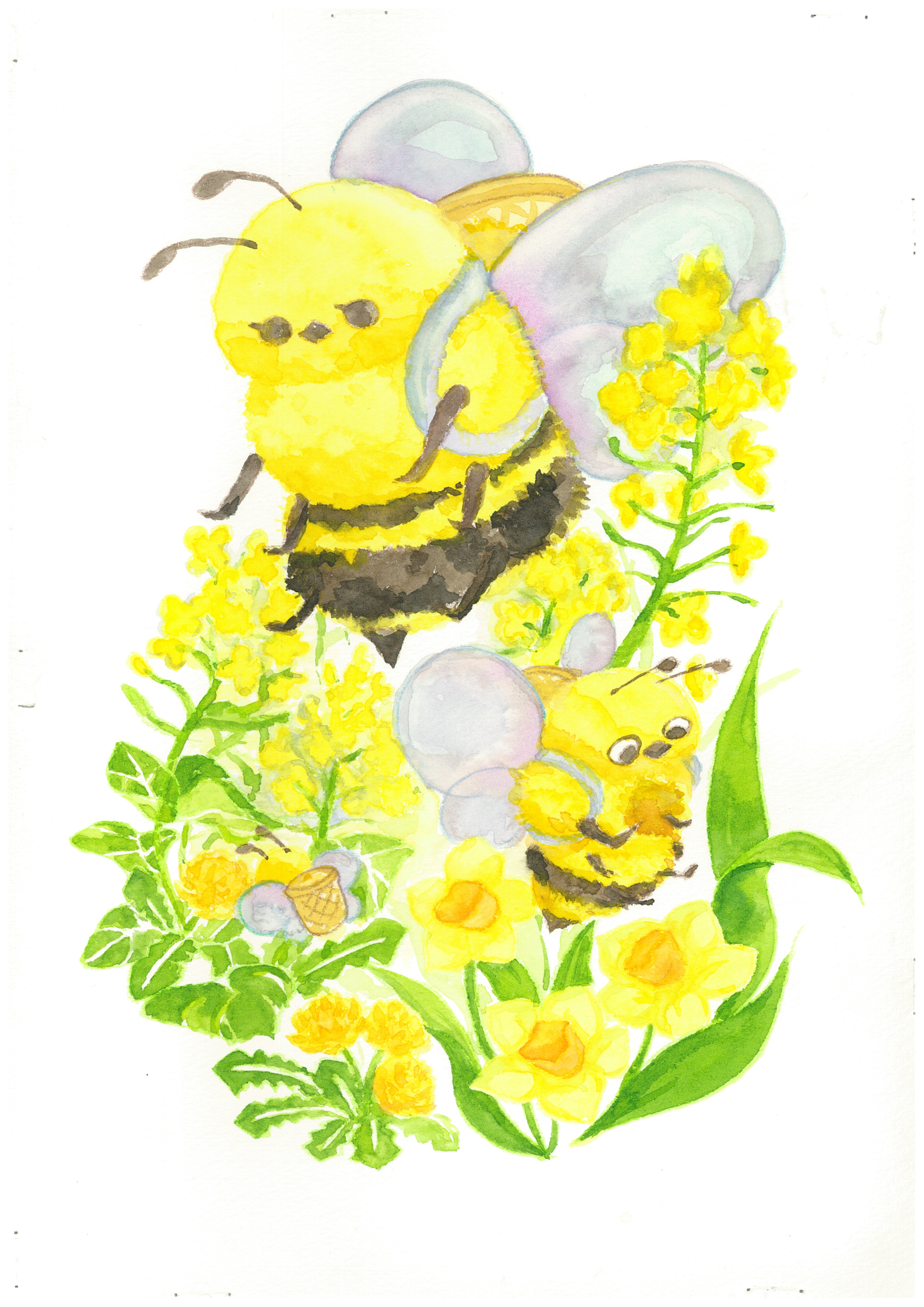 ミツバチと春の花たち