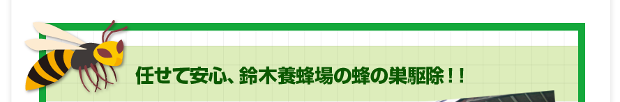 任せて安心、鈴木養蜂場の蜂の巣駆除!!