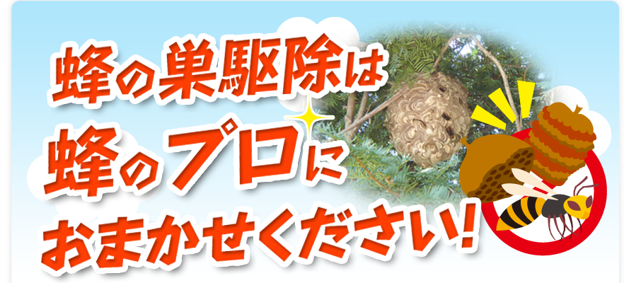 蜂駆除・スズメバチ駆除～見積もり無料。長野県内